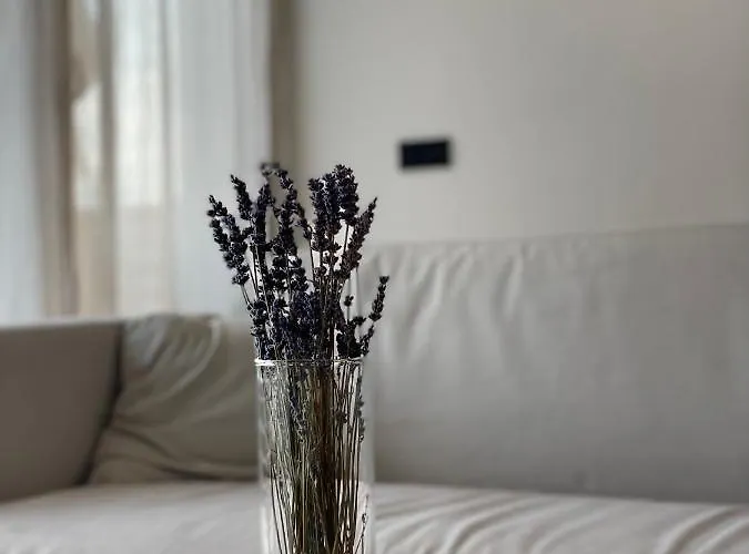 Roemer Apartment Und Zimmer