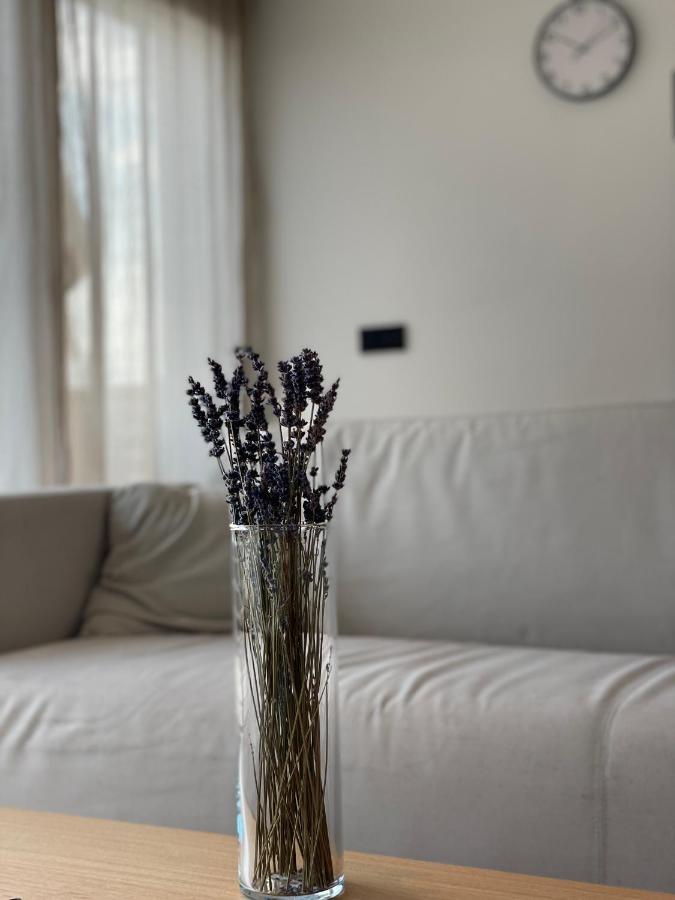Roemer Und Apartment